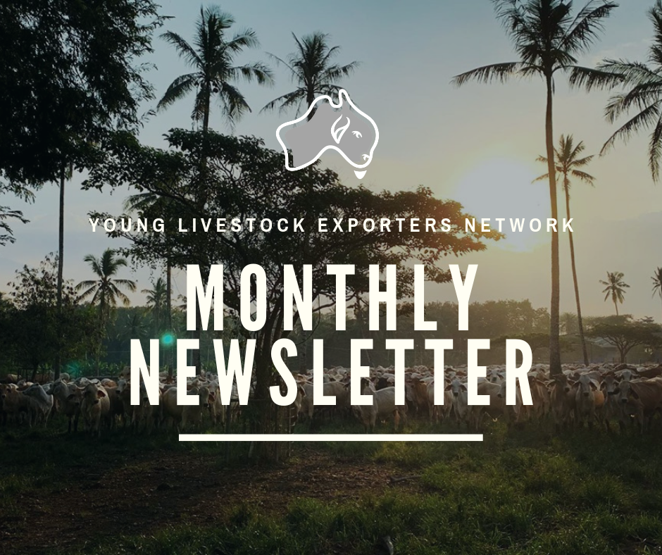 monthly-newsletter